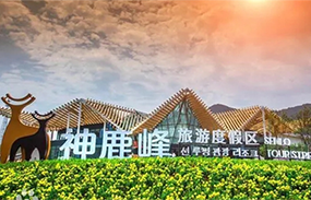 企業抖音藍v賬號展示——神鹿峰旅游文化區